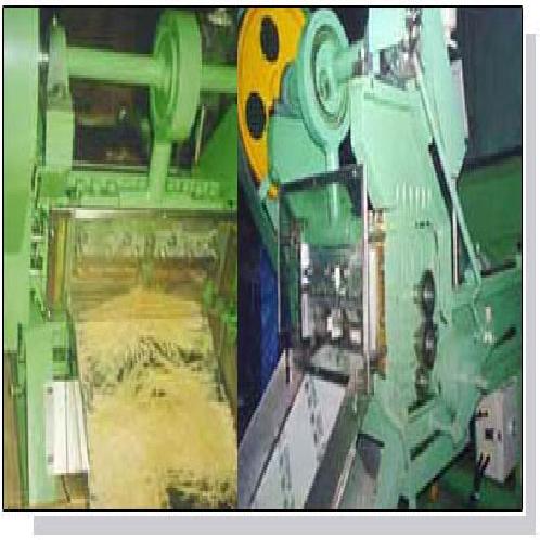 Dried-Fish Cutting M/C