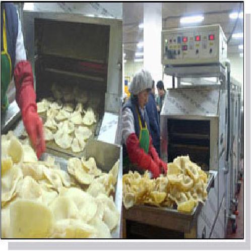 Electric Heat Treatment Roaster